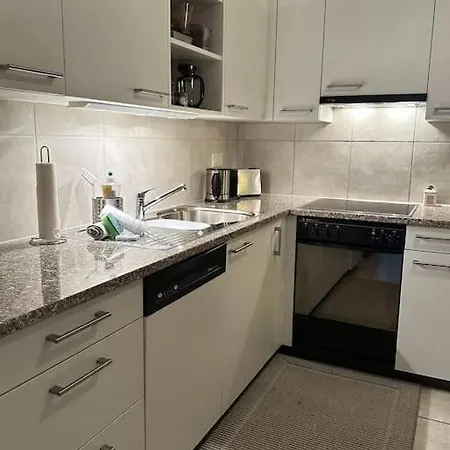 Апартаменты Charming In Кандерштег